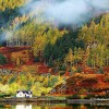 „Welcome Automn“ / „Vítej Podzime“